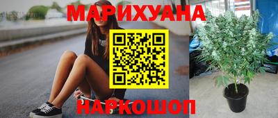 мдпв Гусь-Хрустальный