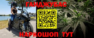 мдпв Гусь-Хрустальный