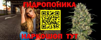 мдпв Гусь-Хрустальный